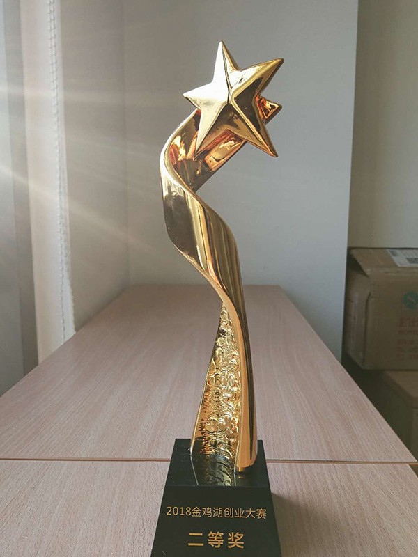 Jinji Lake Entrepreneurship Competition Second Prize Certificate