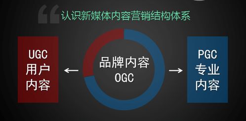 學(xué)習(xí)新媒體運(yùn)營，把握互聯(lián)網(wǎng)銷售新機(jī)遇